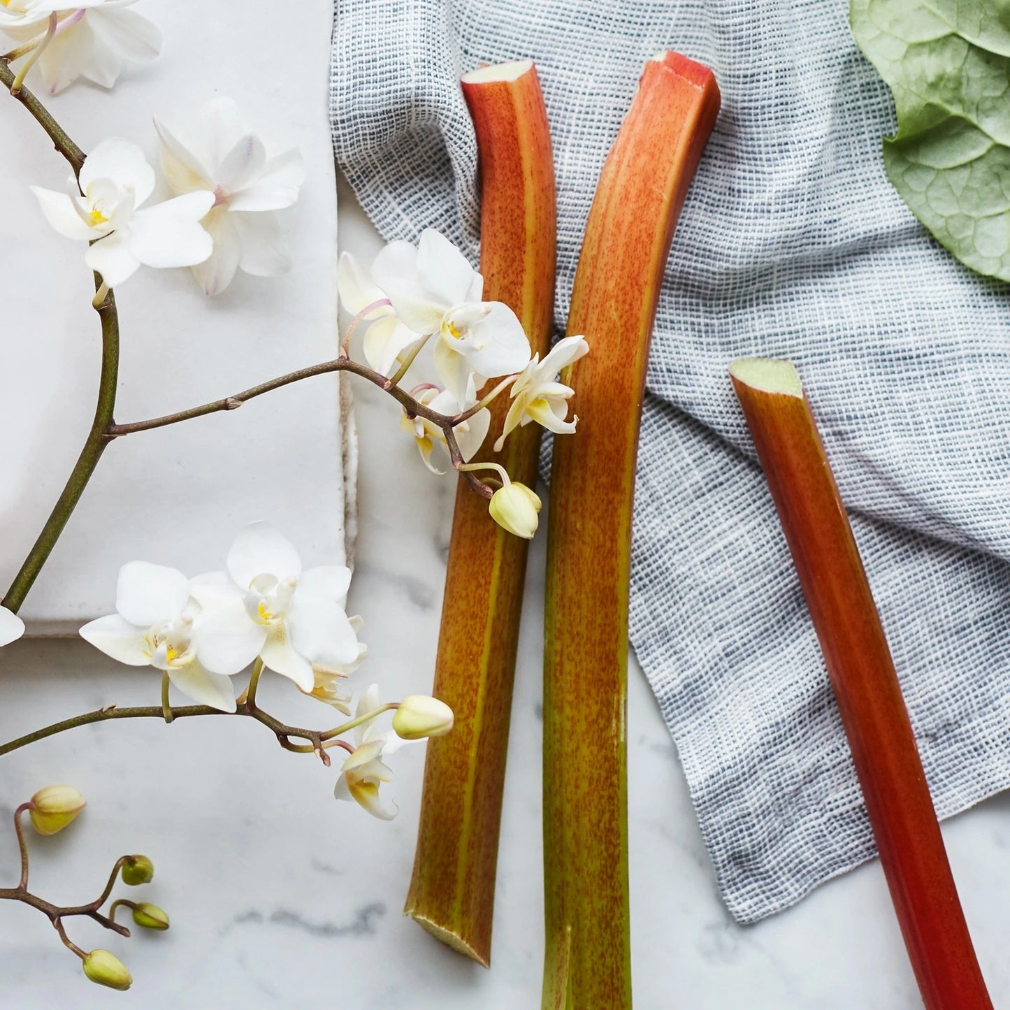 Wild Rhubarb Çubuklu Oda Kokusu 120 ml – Doğal ve Tazeleyici Rabarbar Esansı ile Ferahlatıcı Atmosfer
