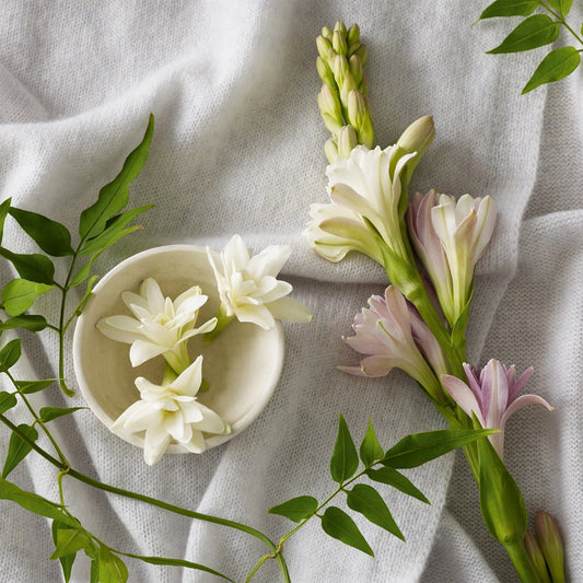 Tubervse &amp; Cashmere Reed Diffuser 120 ml – Create a Luxurious and Relaxing Atmosphere